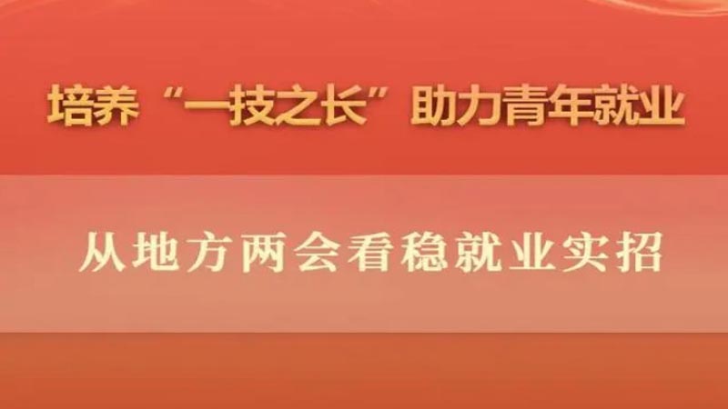 地方兩會觀察：培養“一技之長”，解決青年就業難題